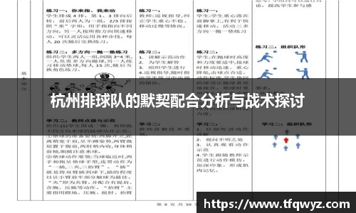 杭州排球队的默契配合分析与战术探讨